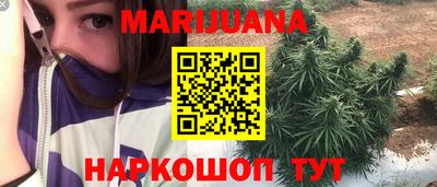 шишки Коммунар