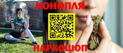 шишки Коммунар