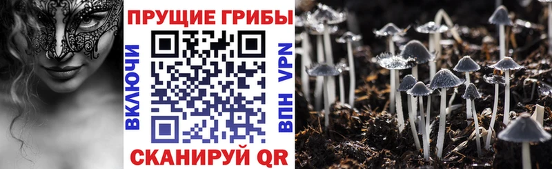 Псилоцибиновые грибы Magic Shrooms Саки