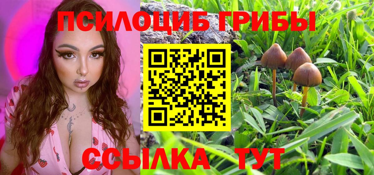 Псилоцибиновые грибы MAGIC MUSHROOMS  купить наркотики цена  Саки  Вход с VPN 